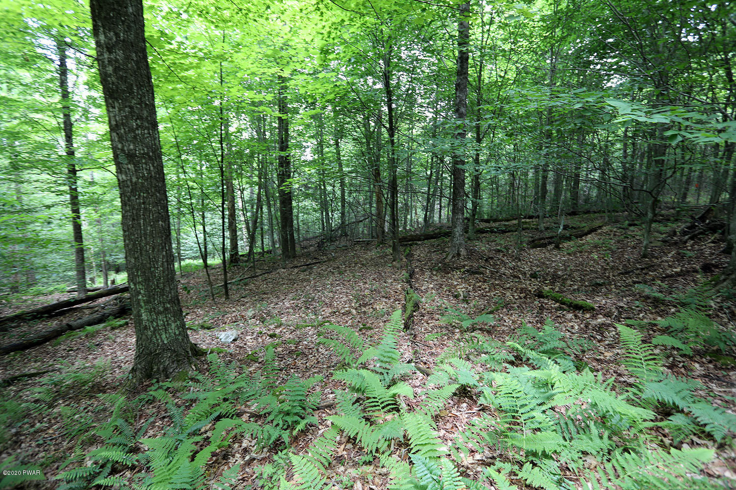 0 Minckler Mountain Road Equinunk, PA 18417 - Photo 7 of 39