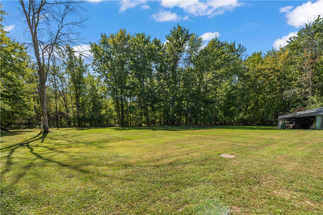 15670 Holley Road Murray, NY 14470 - Photo 33 of 37