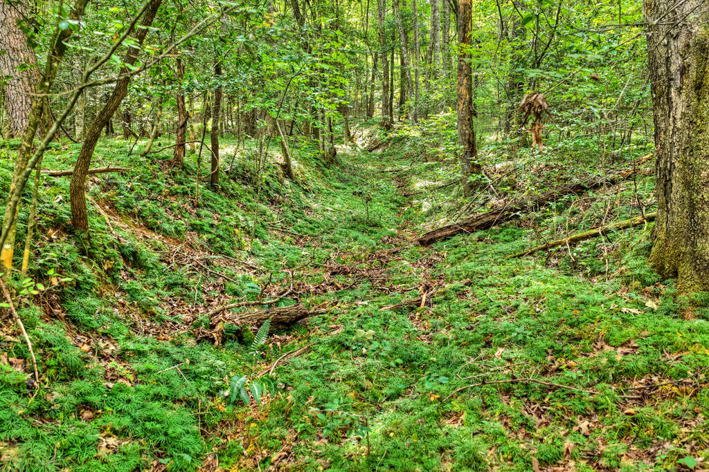 4.70-ac Chestnut Gap Lane Blue Ridge, GA 30513 - Photo 13 of 28 Gallery Image 13
