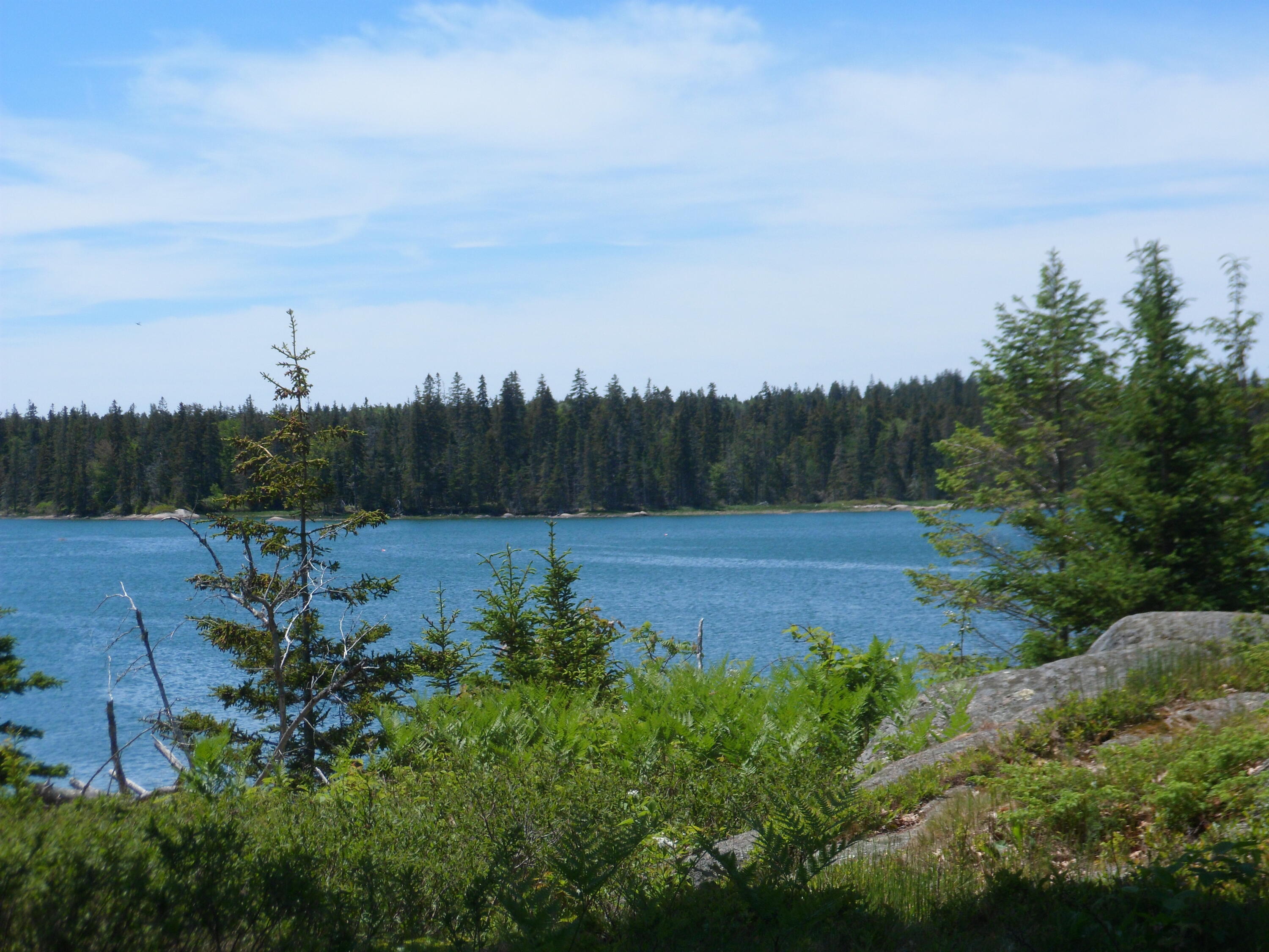 A Calderwood Neck Road Vinalhaven, ME 04863 - Photo 14 of 17 0AD47748-A456-4280-9ADE-14C81A4F2C03