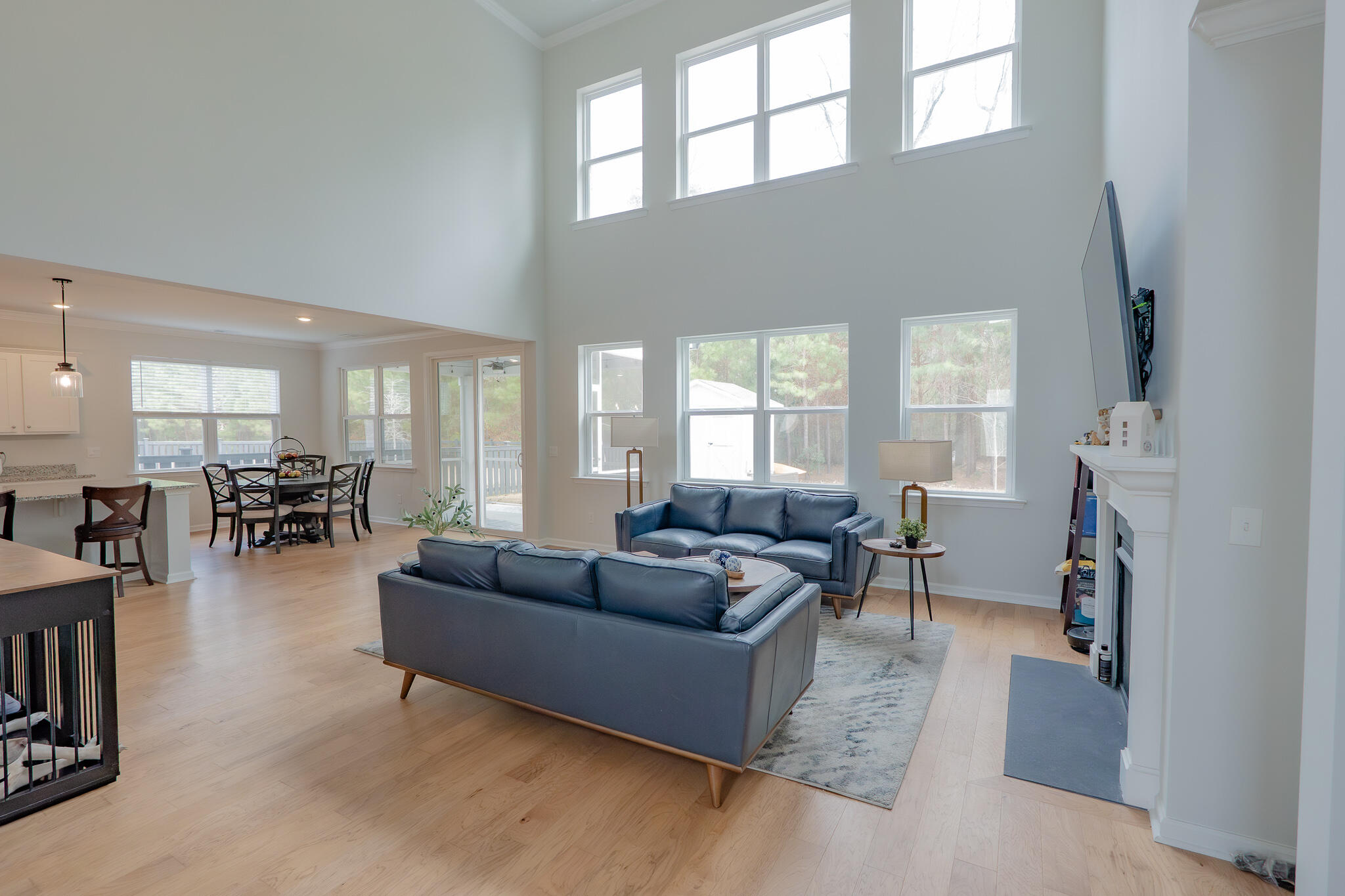 412 Oak View Way Summerville, SC 29483 - Photo 9 of 53 Oak_View-14