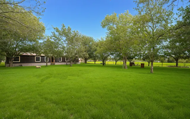 a view of yard with grass and trees