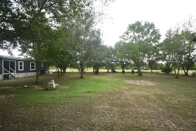 a view of a tree in front of a house