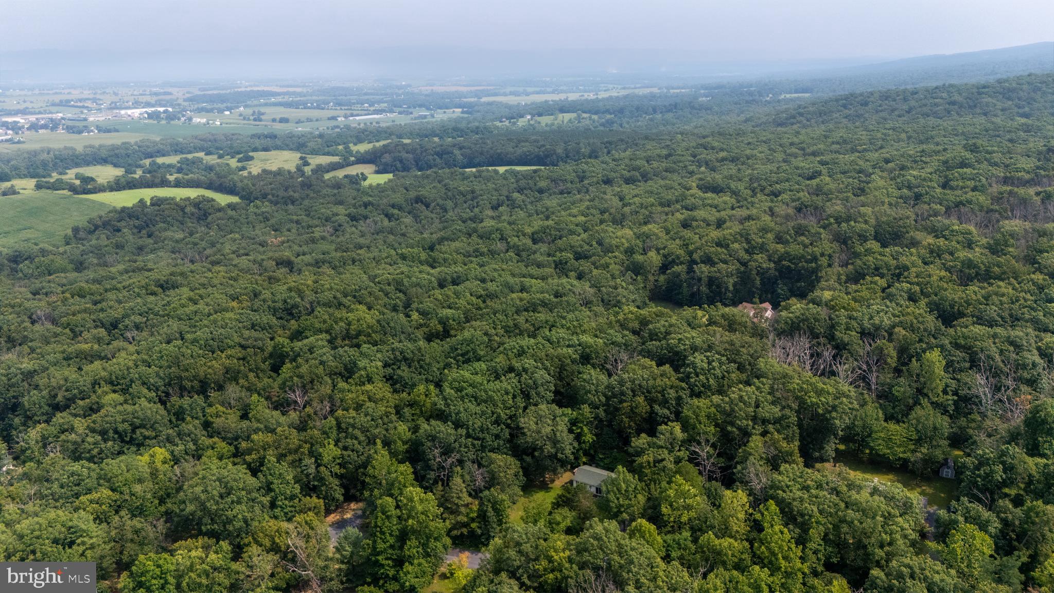 1077 Fleming Park Road Mount Jackson, VA 22842 - Photo 42 of 46 Gallery Image 42