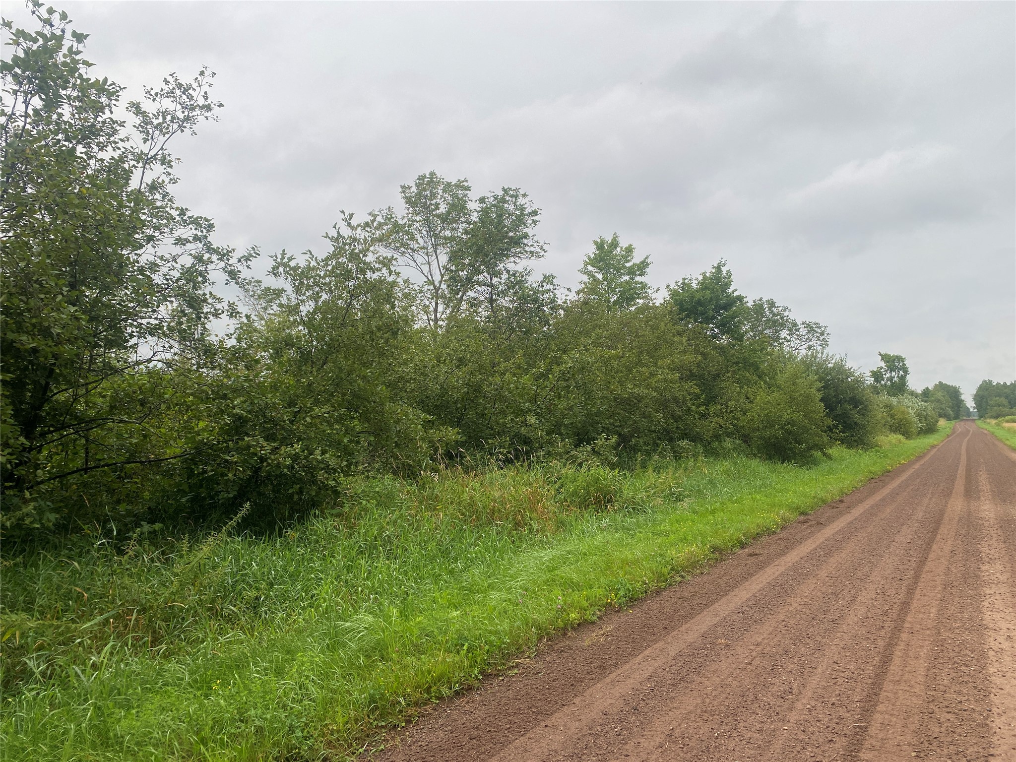 On Shauger Road Ogema, WI 54459 - Photo 8 of 8