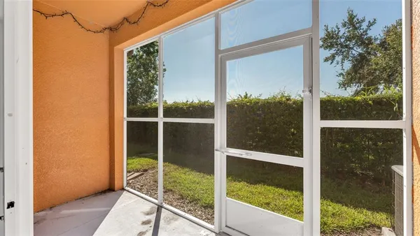 a view of backyard from window