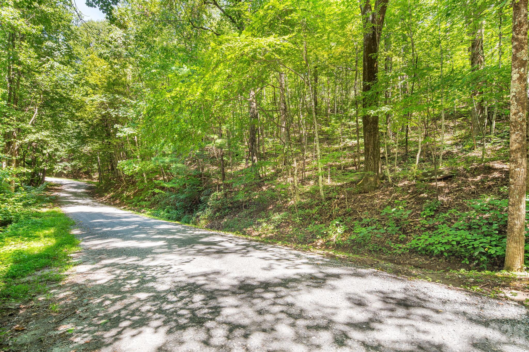 Lot 341 Melrose Mountain Road Tryon, NC 28782 - Photo 5 of 11 Gallery Image 5