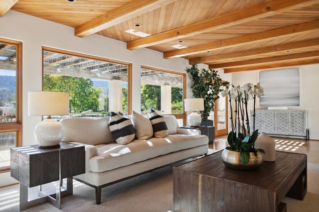 a living room with furniture and a potted plant
