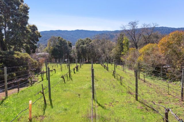 a view of a patio with couches chairs and potted plants