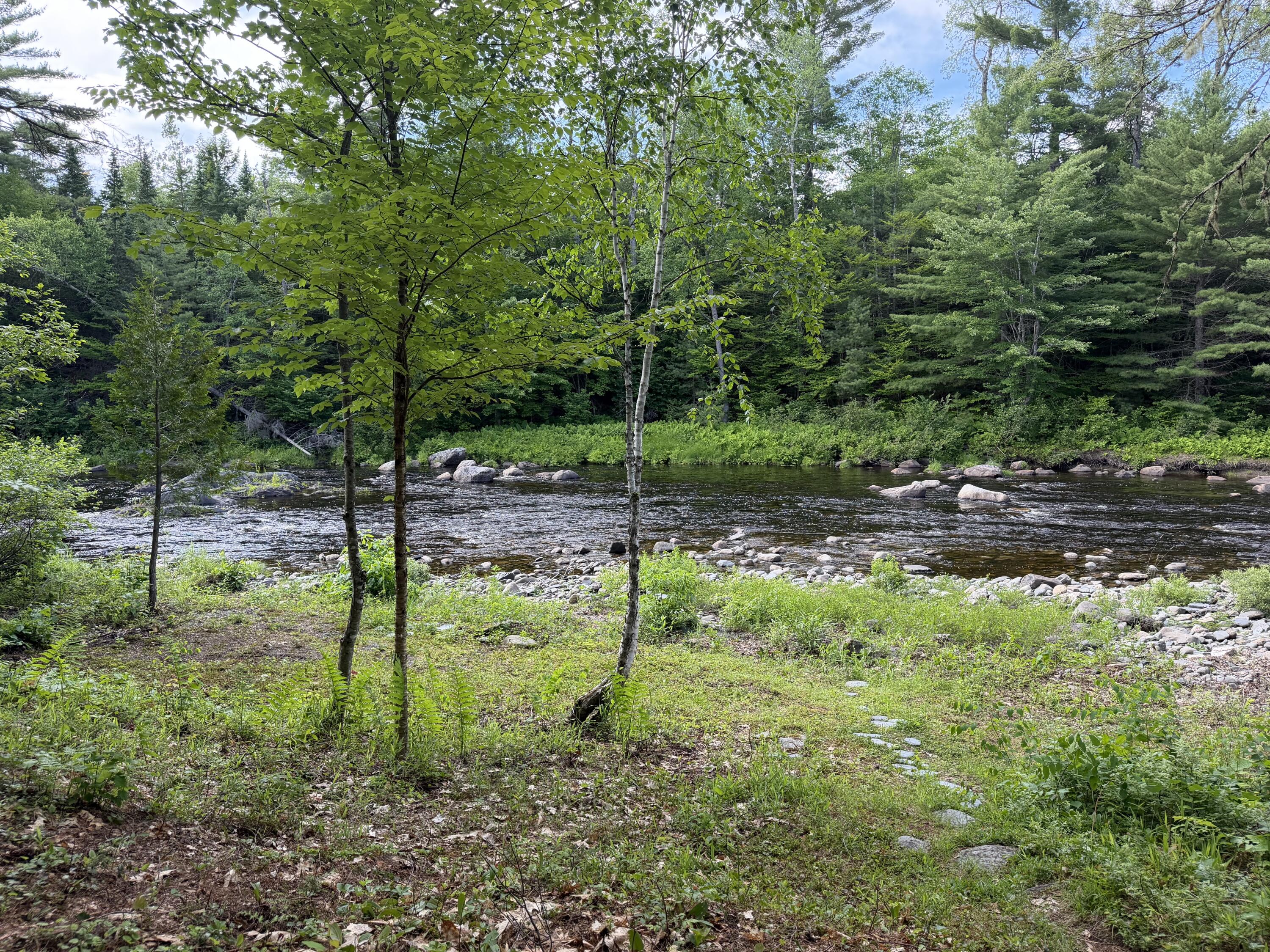 6 Maple Drive Abbot, ME 04406 - Photo 4 of 107 IMG_4545
