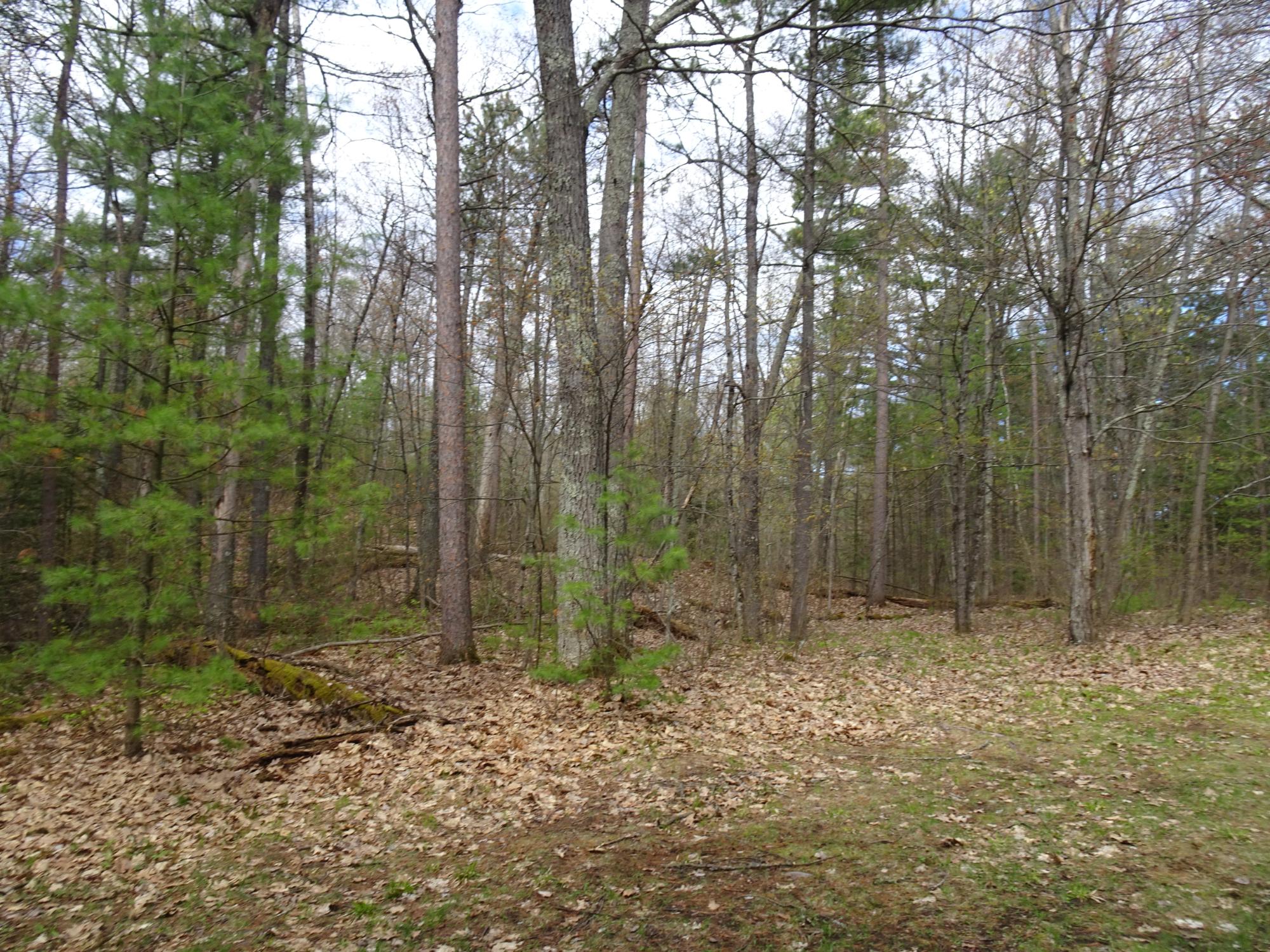 12090 Kobart Road Minocqua, WI 54548 - Photo 22 of 26 Gallery Image 22