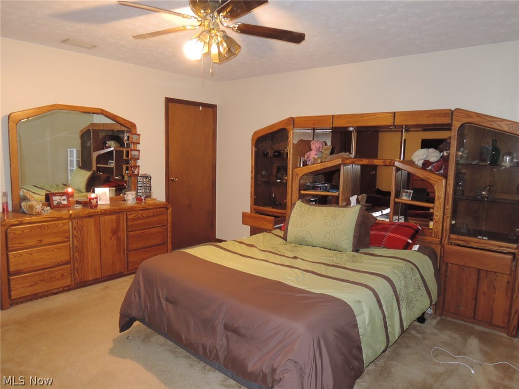 2879 Canfield Road Youngstown, OH 44511 - Photo 12 of 35 Gallery Image 12