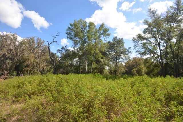 8776 Southwest 139th Place Road Ocala, FL 34473 - Photo 3 of 7