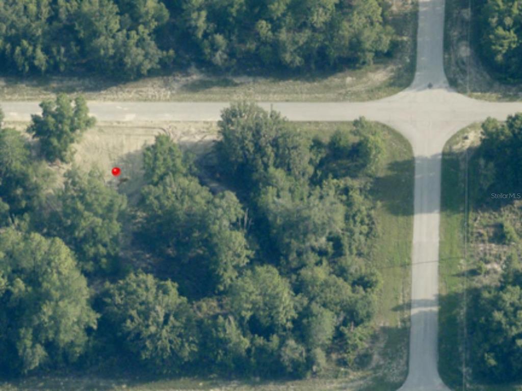 8776 Southwest 139th Place Road Ocala, FL 34473 - Photo 7 of 7