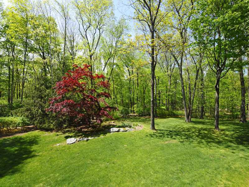 21 Mountain Wood Drive Greenwich, CT 06830 - Photo 20 of 20 a view of a tree in a yard