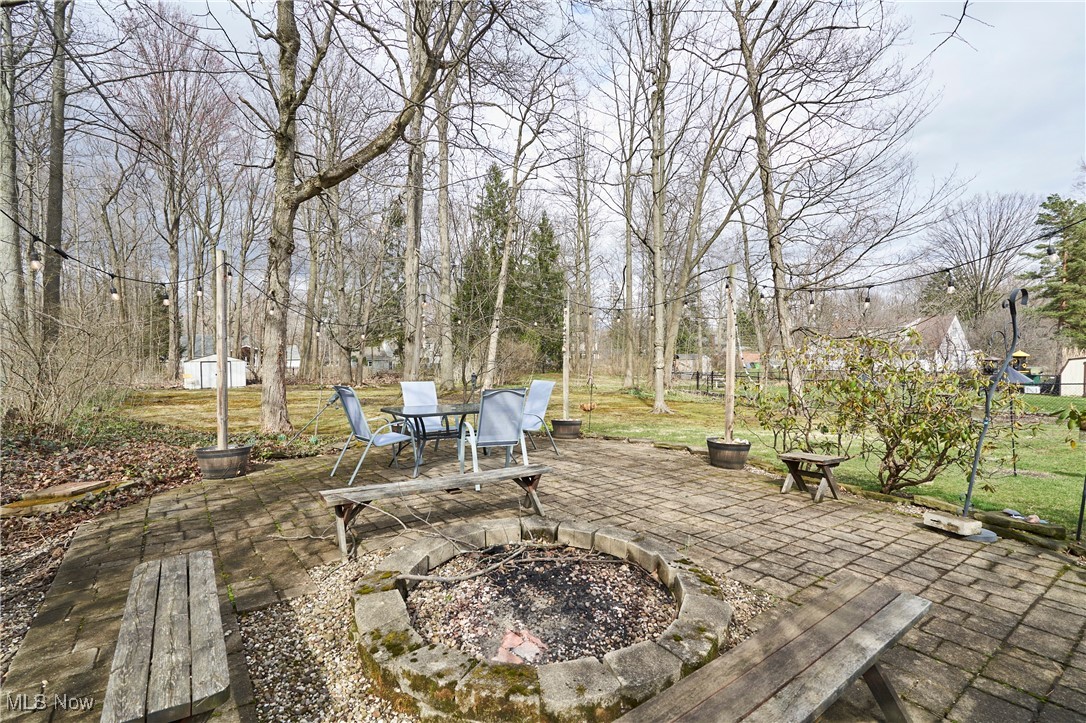 6807 Bonnieview Road Cleveland, OH 44143 - Photo 6 of 23 Rear yard