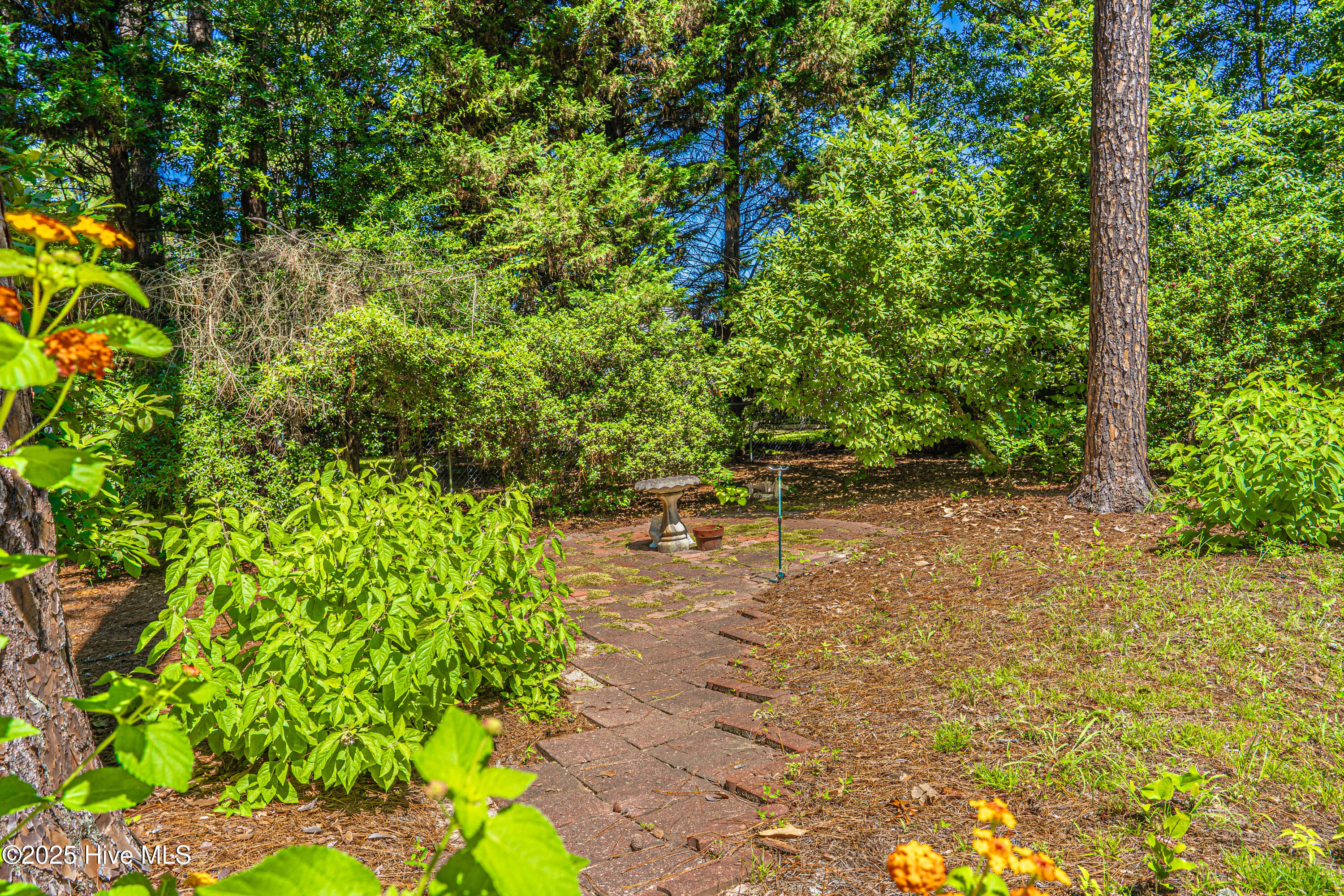 606 John McQueen Road Aberdeen, NC 28315 - Photo 34 of 38 backyard