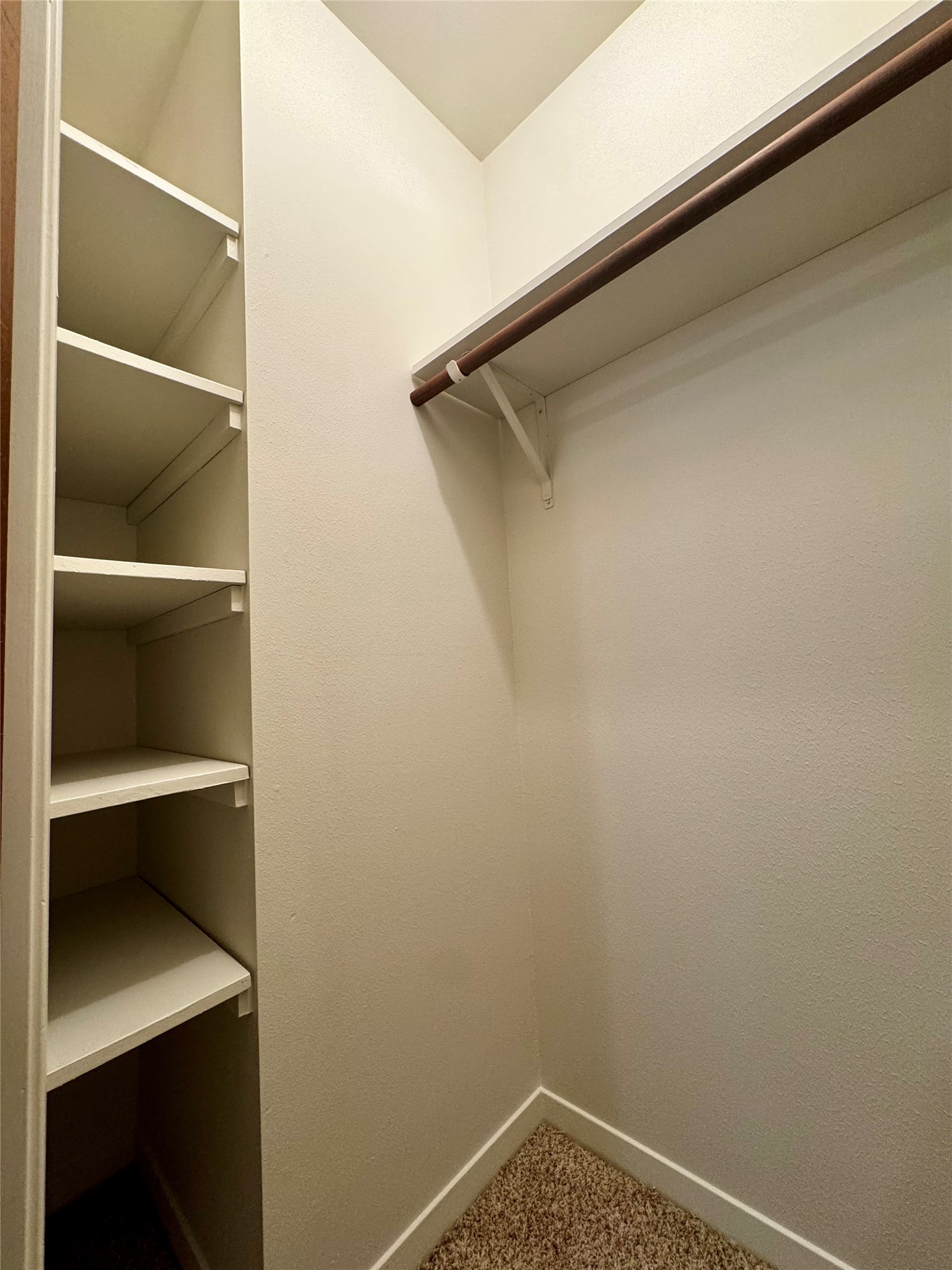 24231 Shellbrook Drive Houston, TX 77336 - Photo 25 of 42 a view of closet