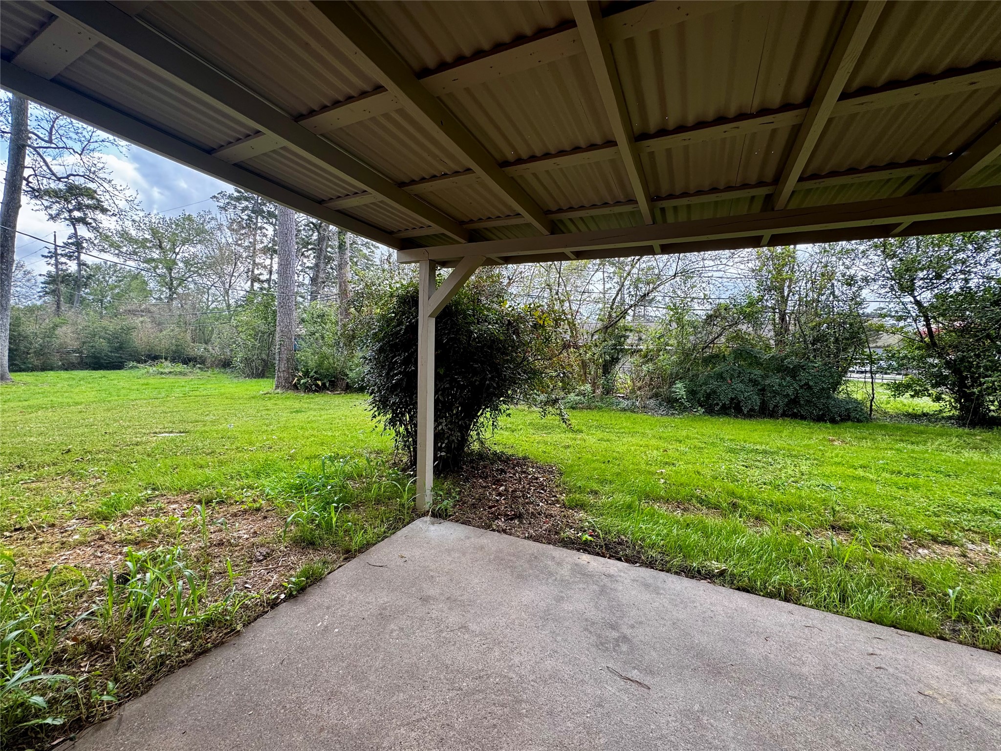 24231 Shellbrook Drive Houston, TX 77336 - Photo 34 of 42 a view of a backyard with large trees