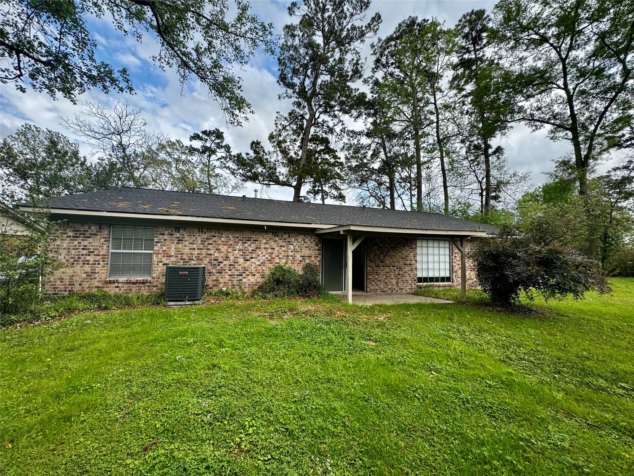 24231 Shellbrook Drive Houston, TX 77336 - Photo 35 of 42 a view of a yard with a large tree