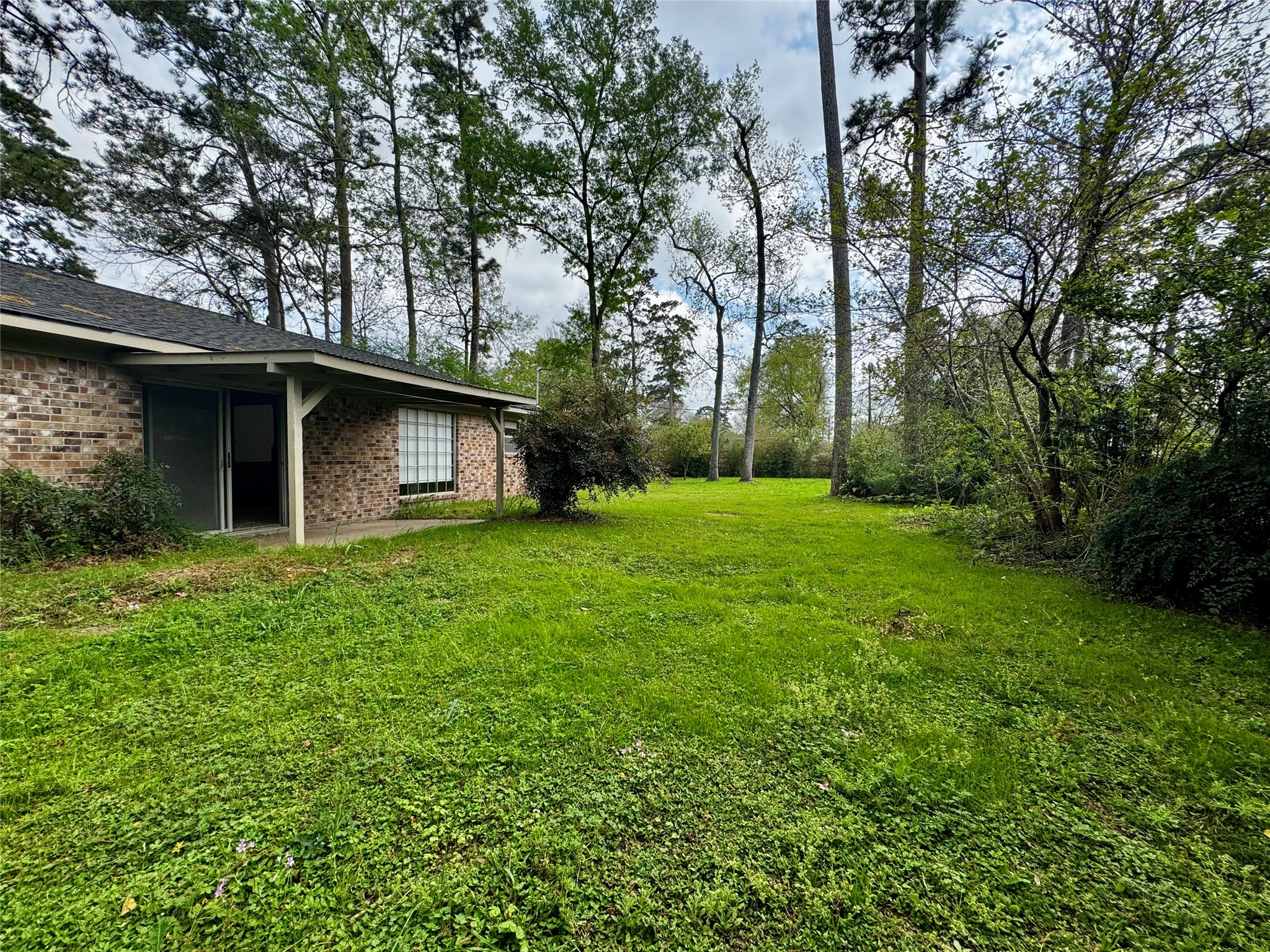 24231 Shellbrook Drive Houston, TX 77336 - Photo 40 of 42 a backyard of a house with large trees and entertaining space
