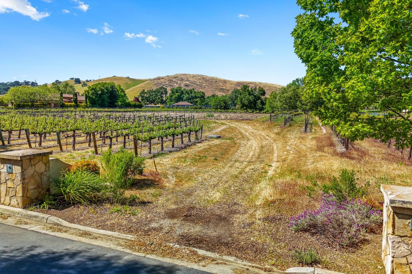 1265 Lions Peak Lane San Martin, CA 95046 - Photo 29 of 29