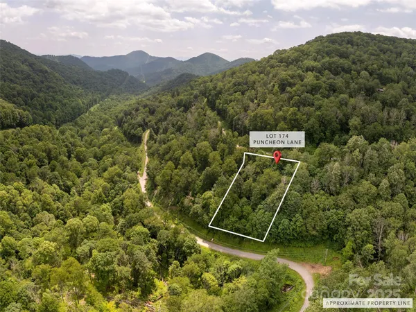 $9,500 | 0 Puncheon Lane, Unit 174, Mars Hill, NC 28754