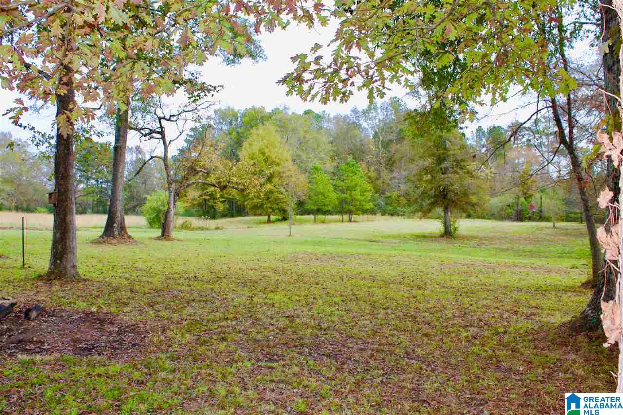 4861 Old Highway 280 Sterrett, AL 35147 - Photo 36 of 45