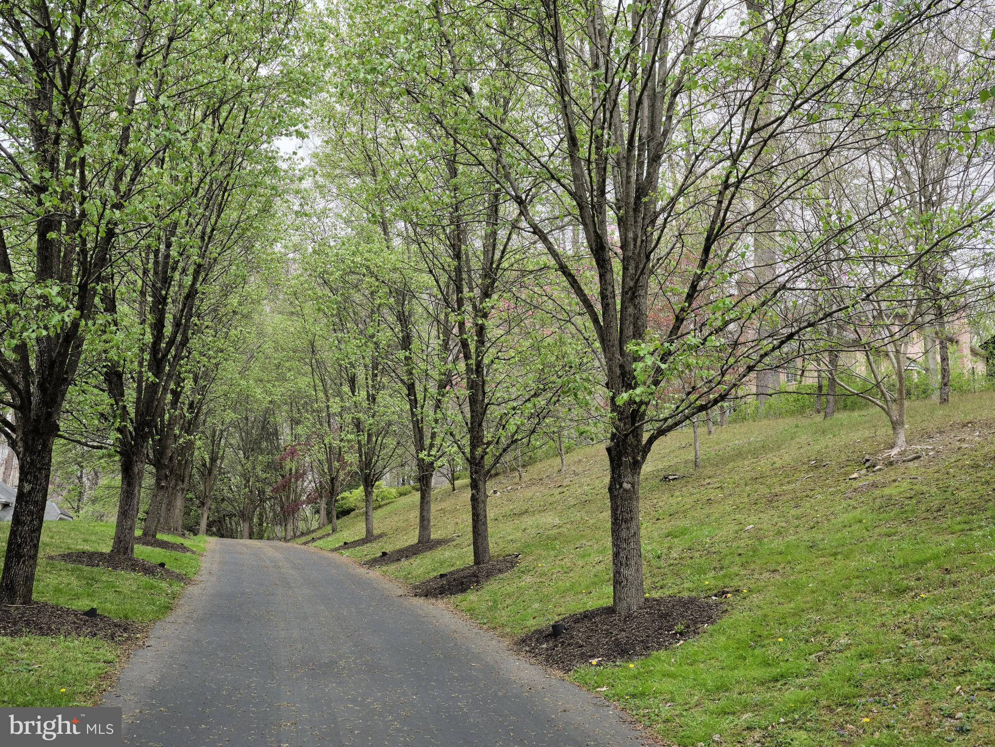 2 Windbrook Drive Springfield, PA 19064 - Photo 2 of 59 Driveway