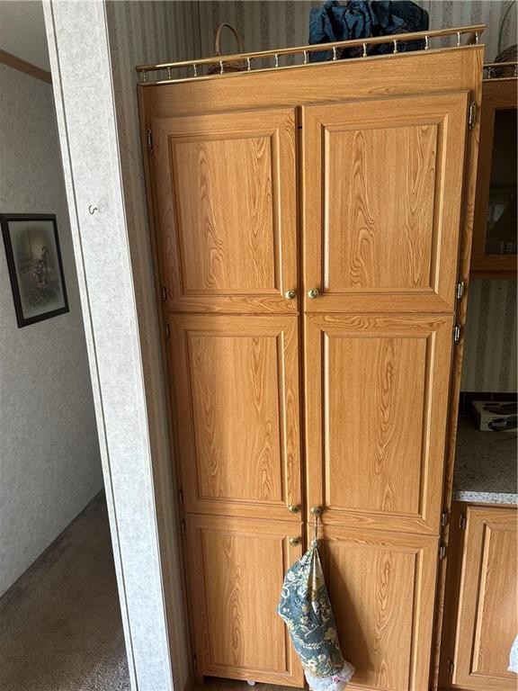 8471 Whipporwill Lane Rural Hall, NC 27045 - Photo 18 of 27 Pantry closet
