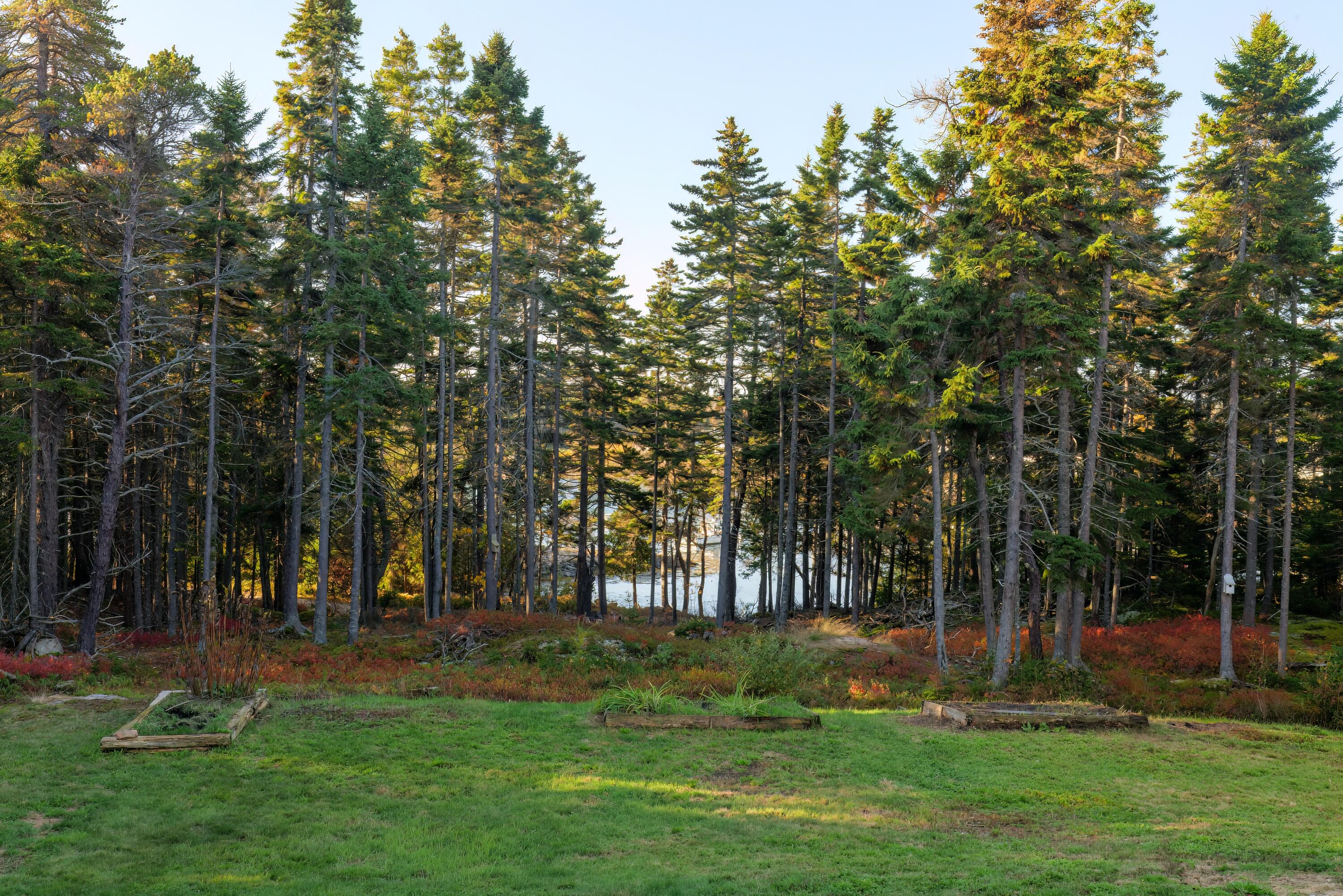 14 Town Landing Road Birch Harbor, ME 04613 - Photo 24 of 34 23 - 14 Town Landing Road - DTP