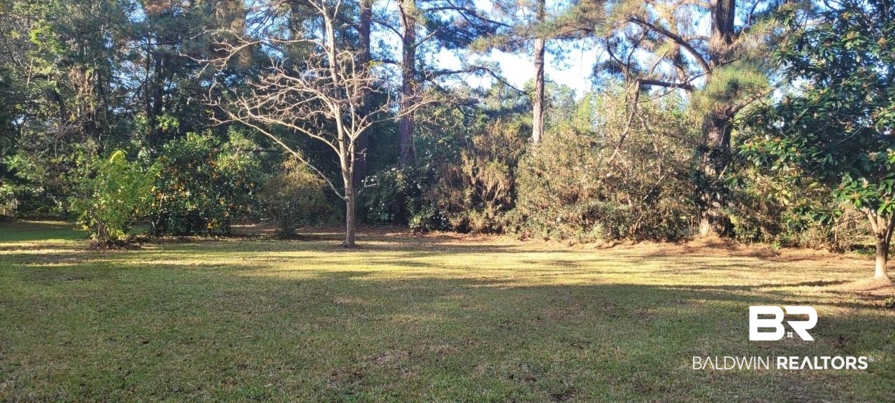 19091 Thompson Hall Road Fairhope, AL 36532 - Photo 36 of 38 Back Yard