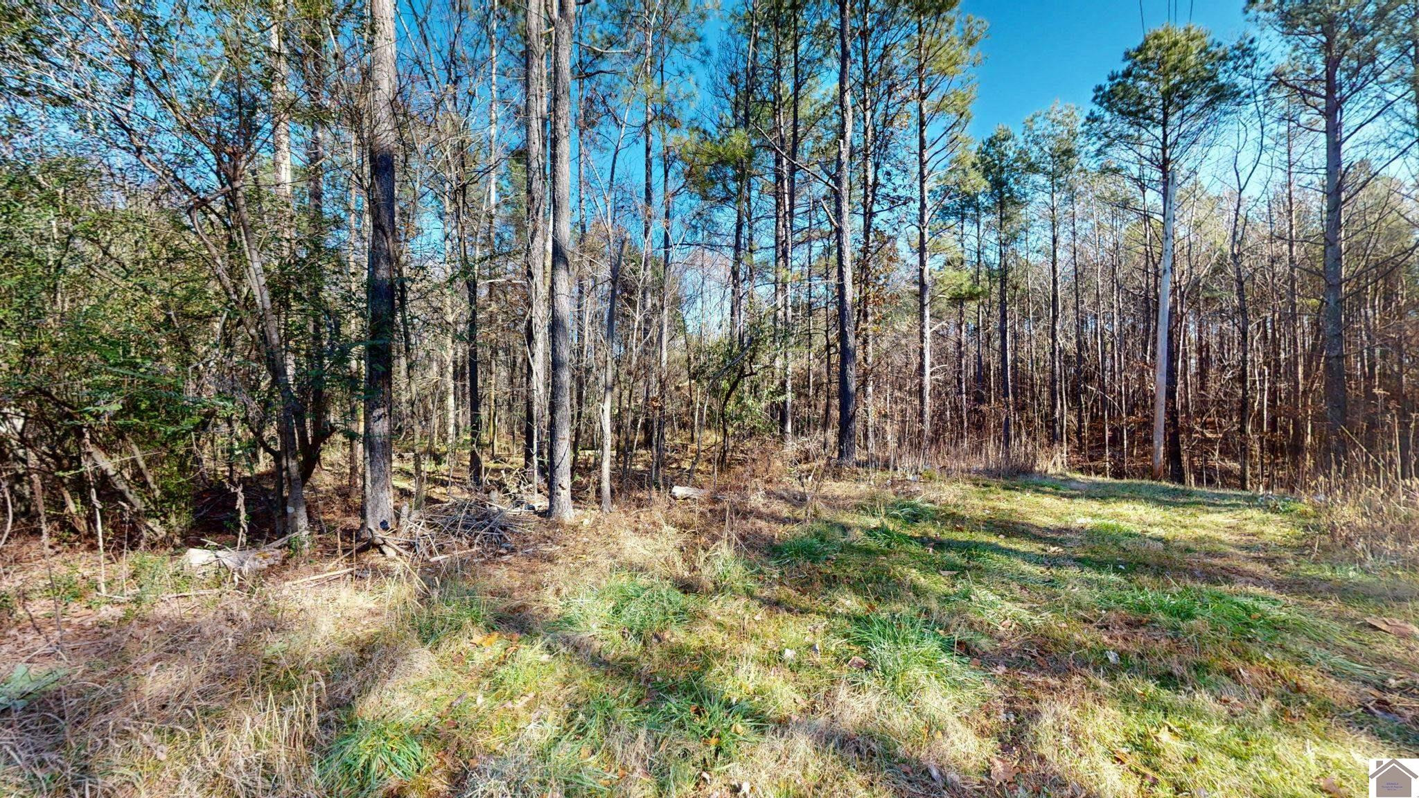Protemus Road Murray, KY 42071 - Photo 7 of 15 Photo 7