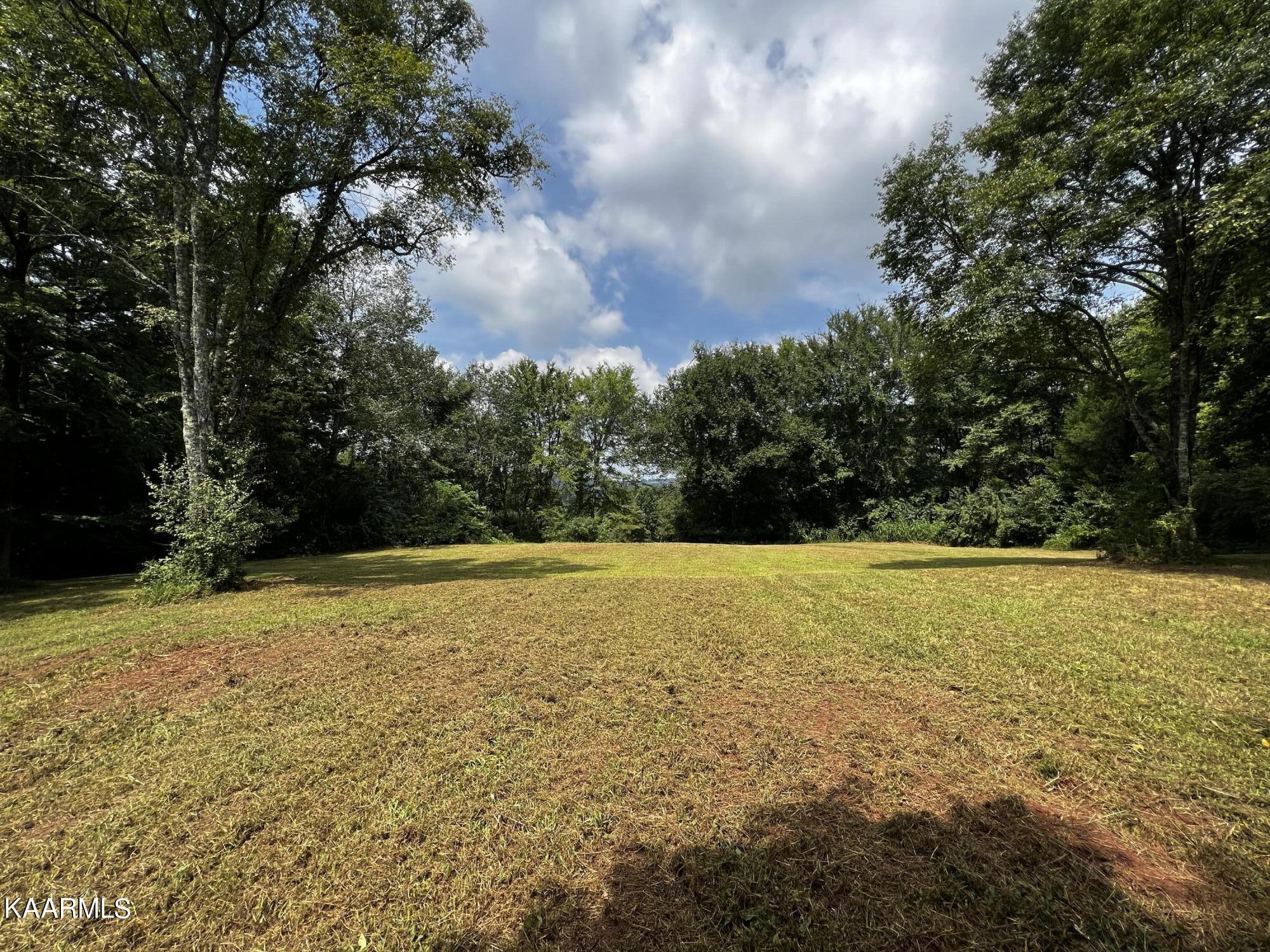 0 Cedar Hill Road Sweetwater, TN 37874 - Photo 1 of 20 Gallery Image 1