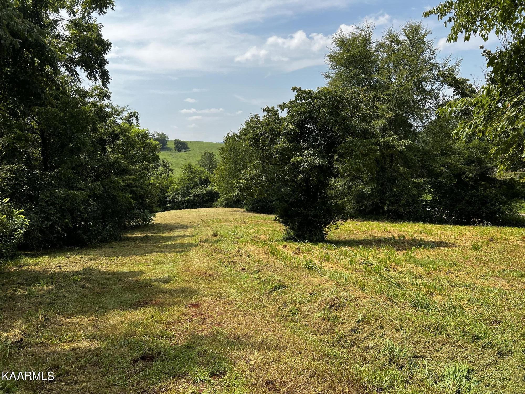 0 Cedar Hill Road Sweetwater, TN 37874 - Photo 12 of 20 Gallery Image 12