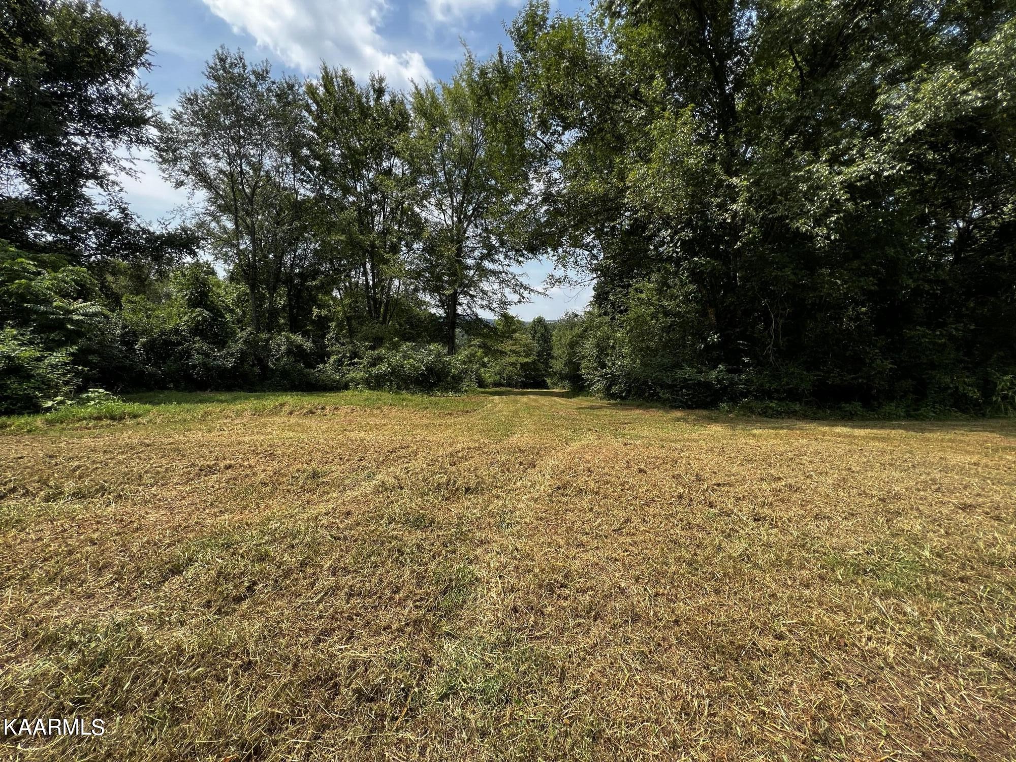0 Cedar Hill Road Sweetwater, TN 37874 - Photo 13 of 20 Gallery Image 13