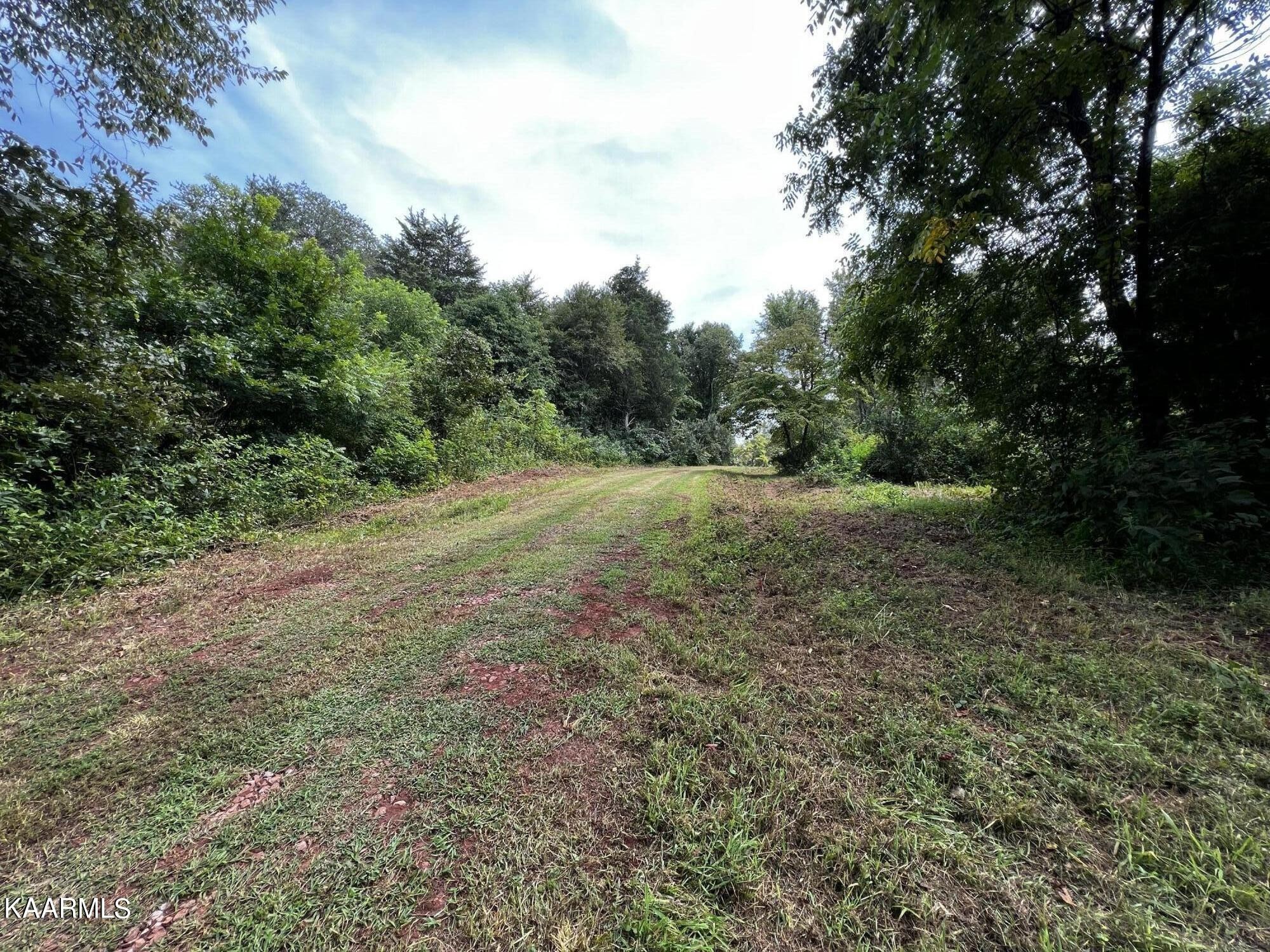 0 Cedar Hill Road Sweetwater, TN 37874 - Photo 14 of 20 Gallery Image 14