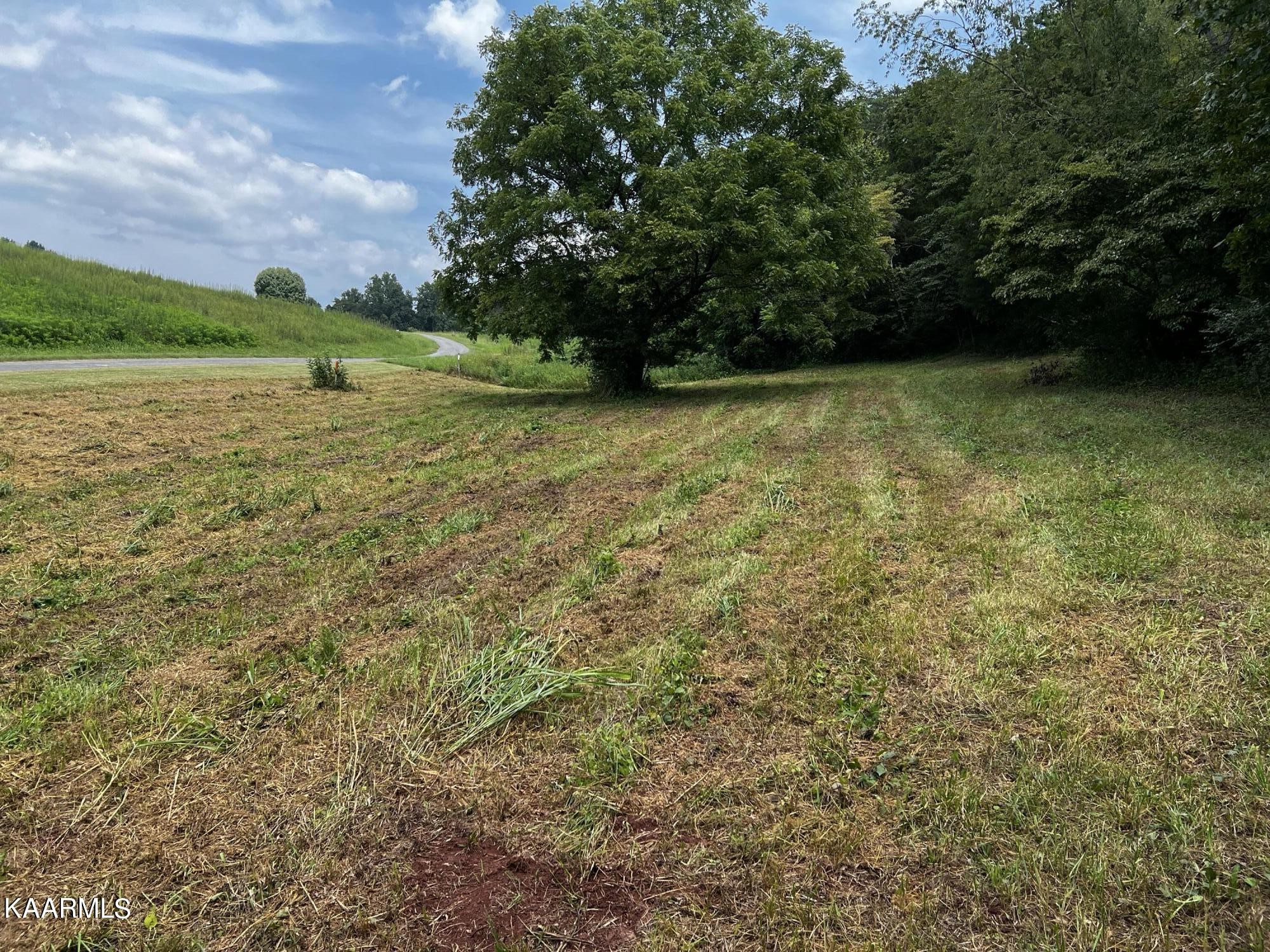 0 Cedar Hill Road Sweetwater, TN 37874 - Photo 15 of 20 Gallery Image 15