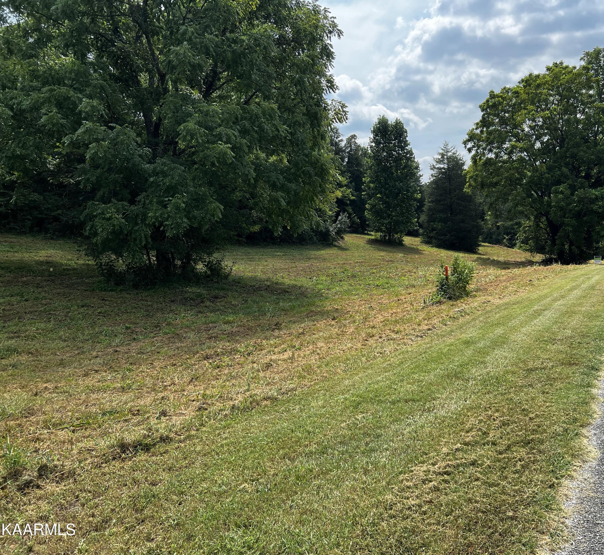 0 Cedar Hill Road Sweetwater, TN 37874 - Photo 17 of 20 Gallery Image 17