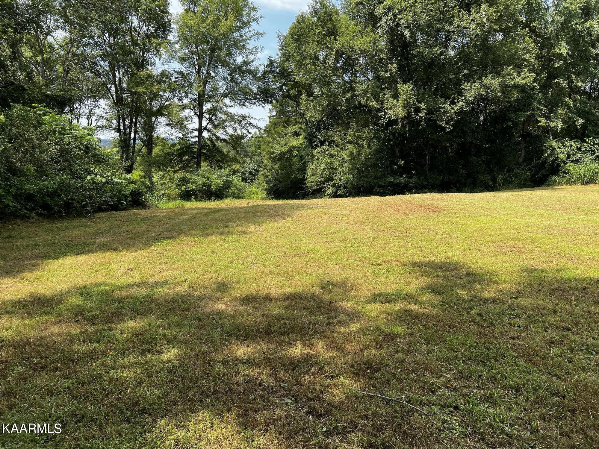 0 Cedar Hill Road Sweetwater, TN 37874 - Photo 2 of 20 Gallery Image 2