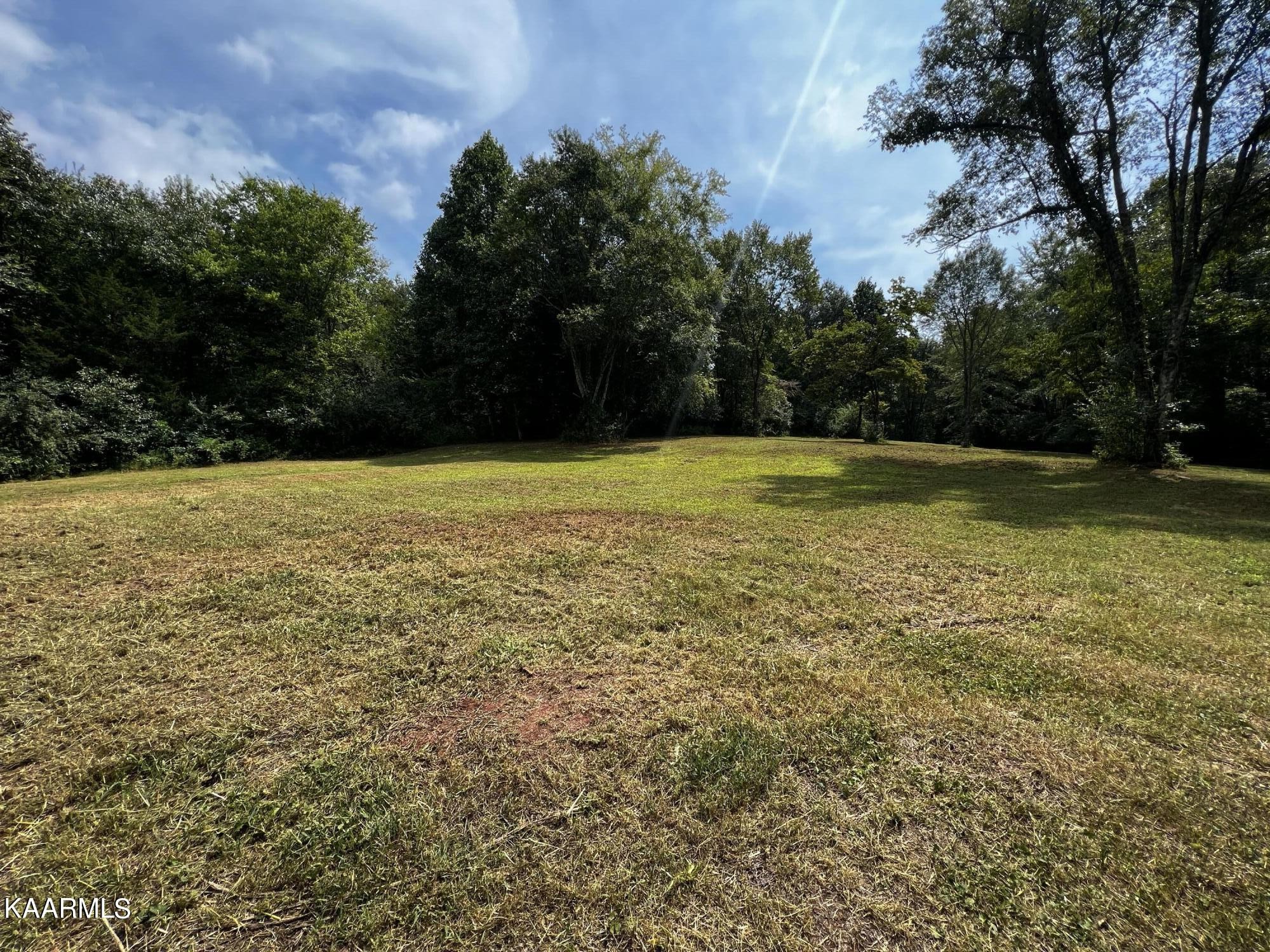 0 Cedar Hill Road Sweetwater, TN 37874 - Photo 3 of 20 Gallery Image 3