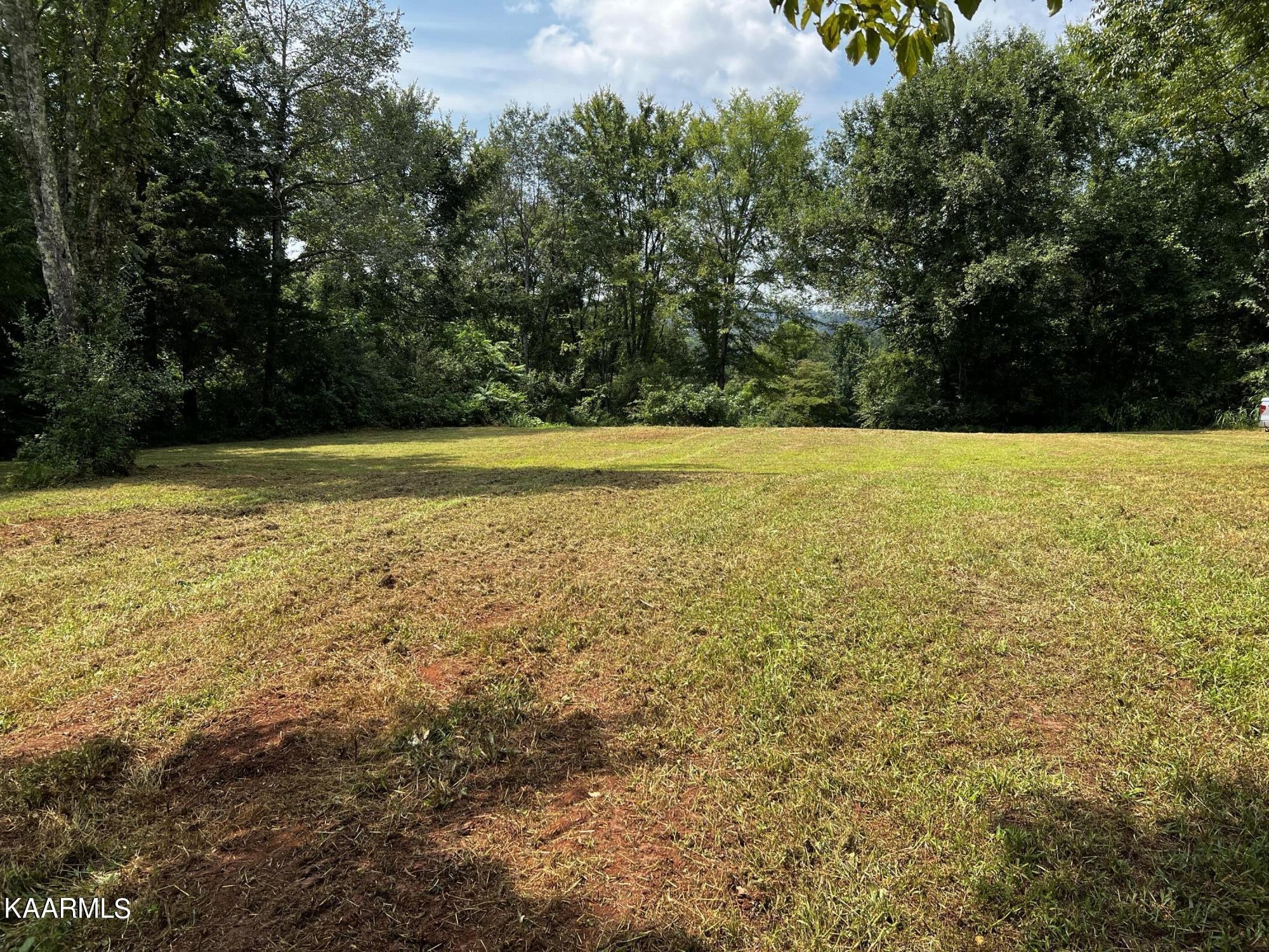 0 Cedar Hill Road Sweetwater, TN 37874 - Photo 7 of 20 Gallery Image 7