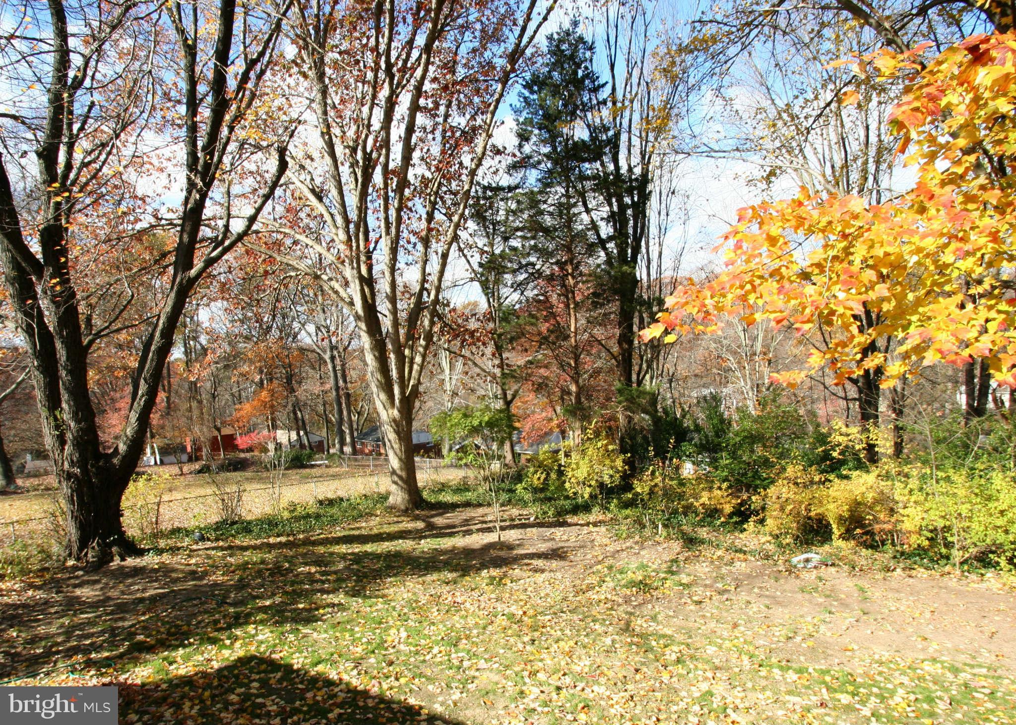 7502 Nottoway Place Springfield, VA 22150 - Photo 3 of 18 Backyard