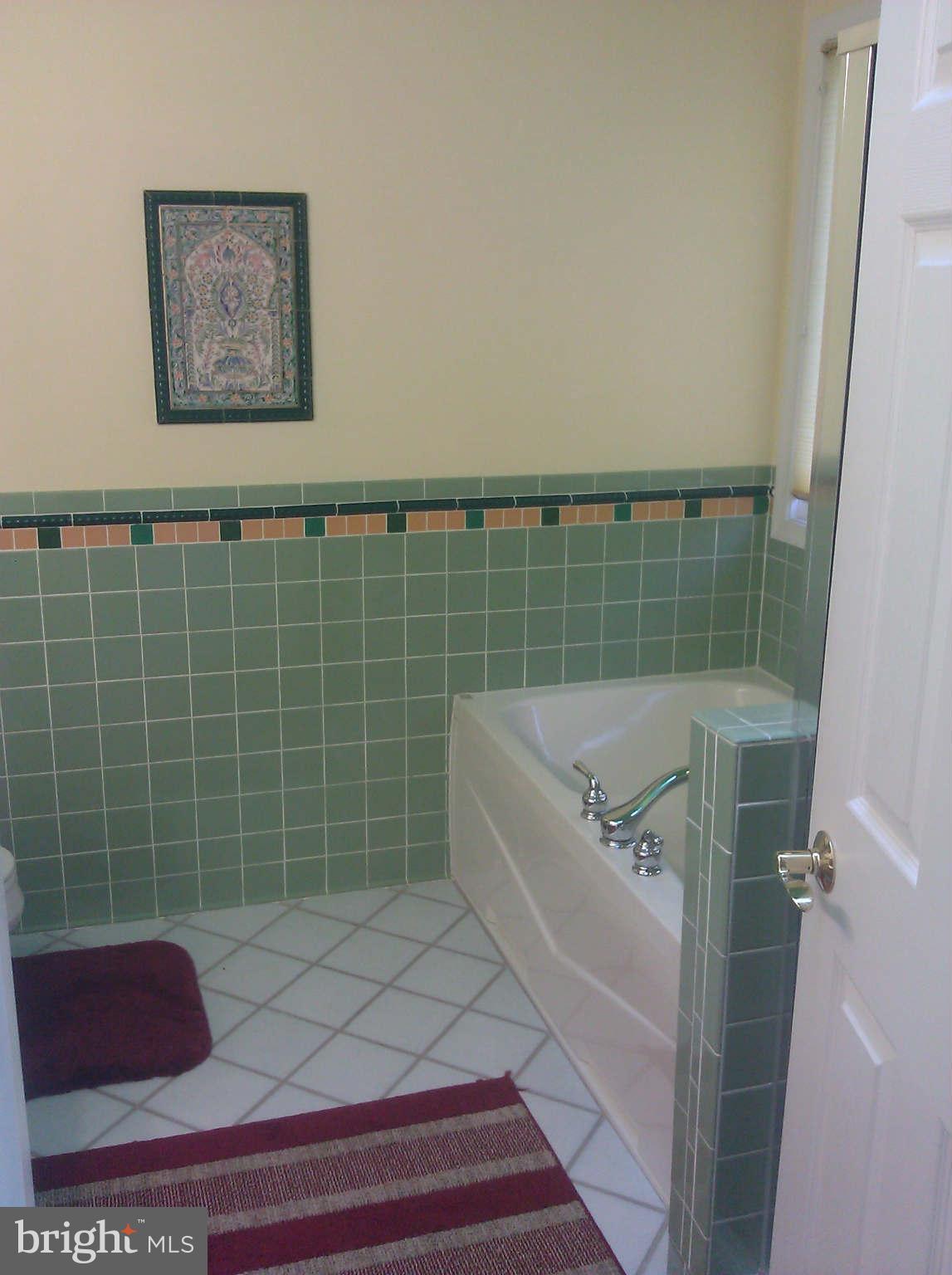 1044 Blackwell Road Annapolis, MD 21403 - Photo 15 of 24 Bath (Master)