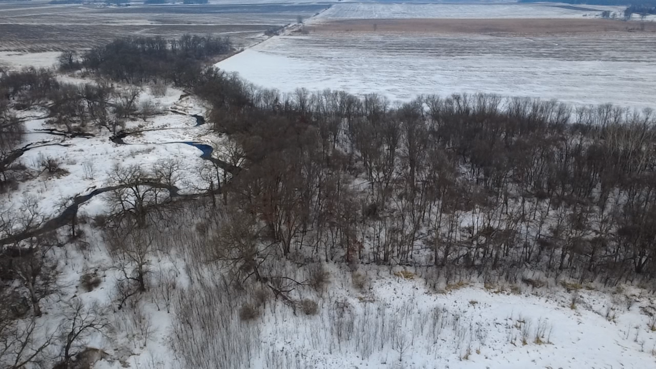 56 Highway 56 Le Roy, MN 55951 - Photo 3 of 7