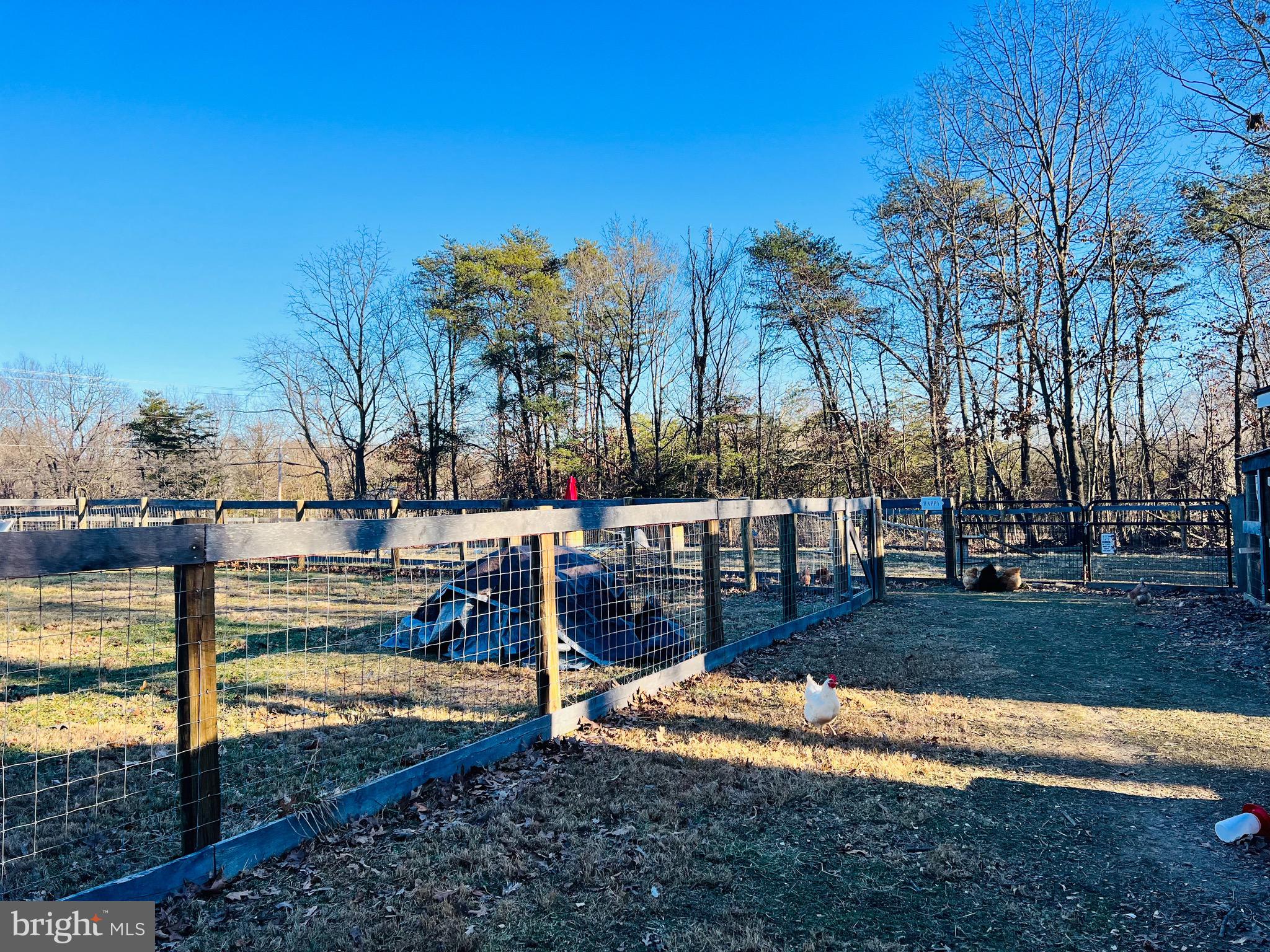 976 Jordan Springs Road Stephenson, VA 22656 - Photo 65 of 76 Gallery Image 65
