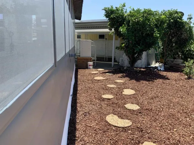 a view of a backyard with plants and trees