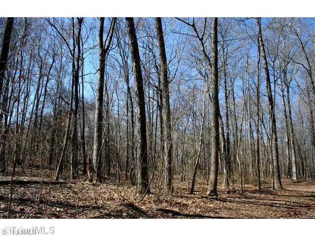 Land/Lot. Lots of Hardwoods on the 10 Acre Parcel