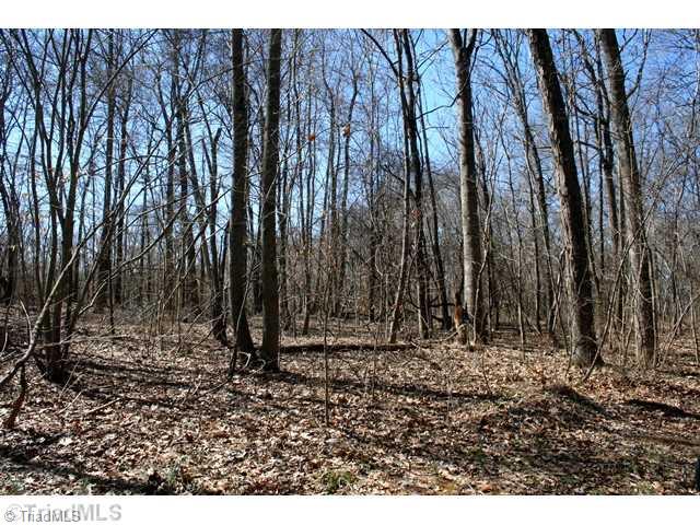 Land/Lot. 5 Bedroom Perk Site