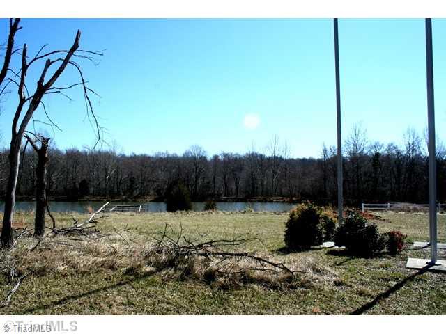 8 Nicks Road Mebane, NC 27302 - Photo 9 of 9 Waterfront/Dock/Pier. Pond area at the Institute